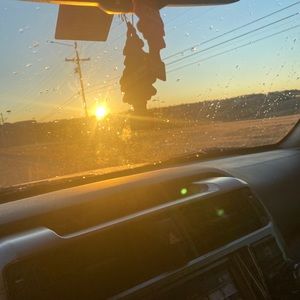 Meet your Posher, Molly